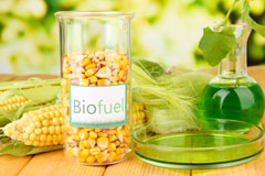 Bishops Cannings biofuel availability